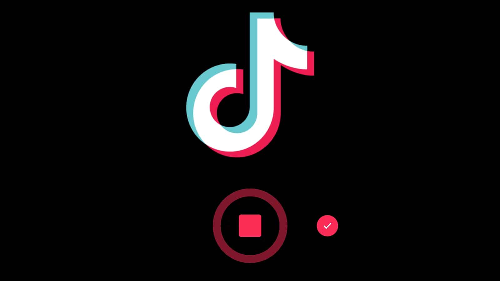 tiktok-rec.jpg