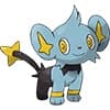 Shinx Kedi Pokemonu