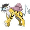 Raikou Kedi Pokemonu