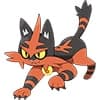 Torracat Pokemonu