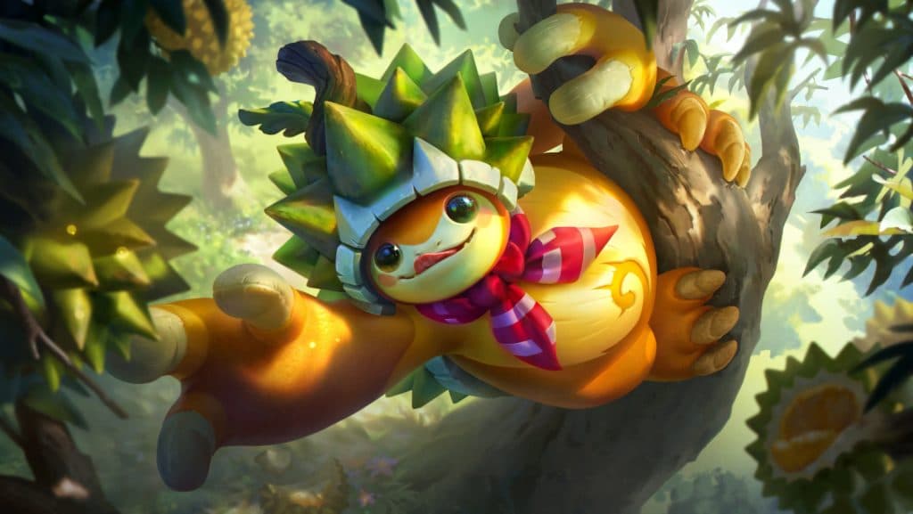 Durian rammus derisi