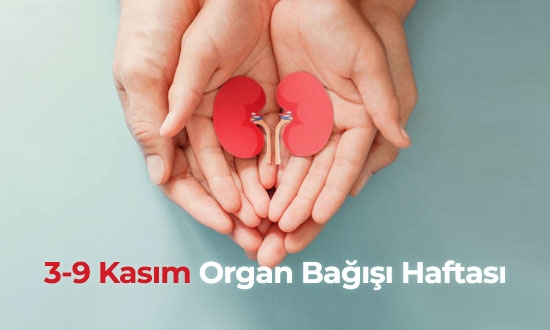 3-9-kasim-organ-bagisi-haftasi-3.jpg